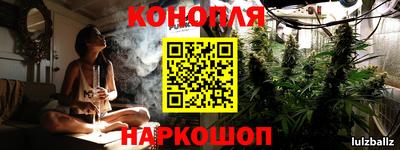 прущие грибы Бердск