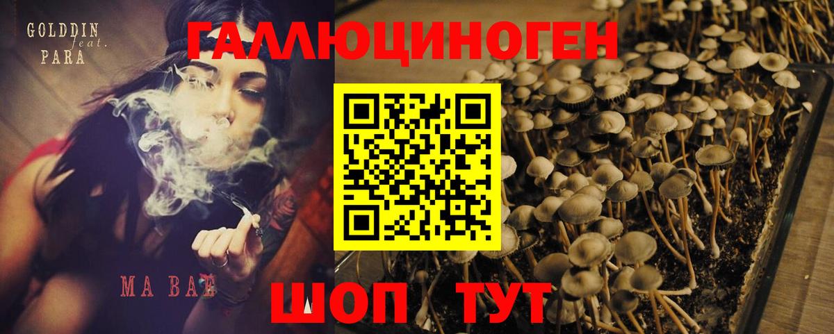 Галлюциногенные грибы MAGIC MUSHROOMS Вольск