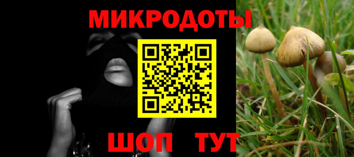 Галлюциногенные грибы ЛСД  Вход с VPN  Вольск 